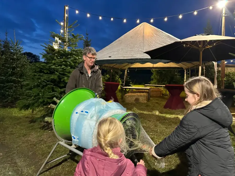 Gezin kiest een kerstboom om zelf te zagen op de akker in Naarden